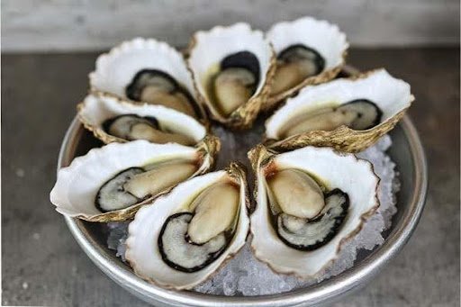 Are oysters good for you