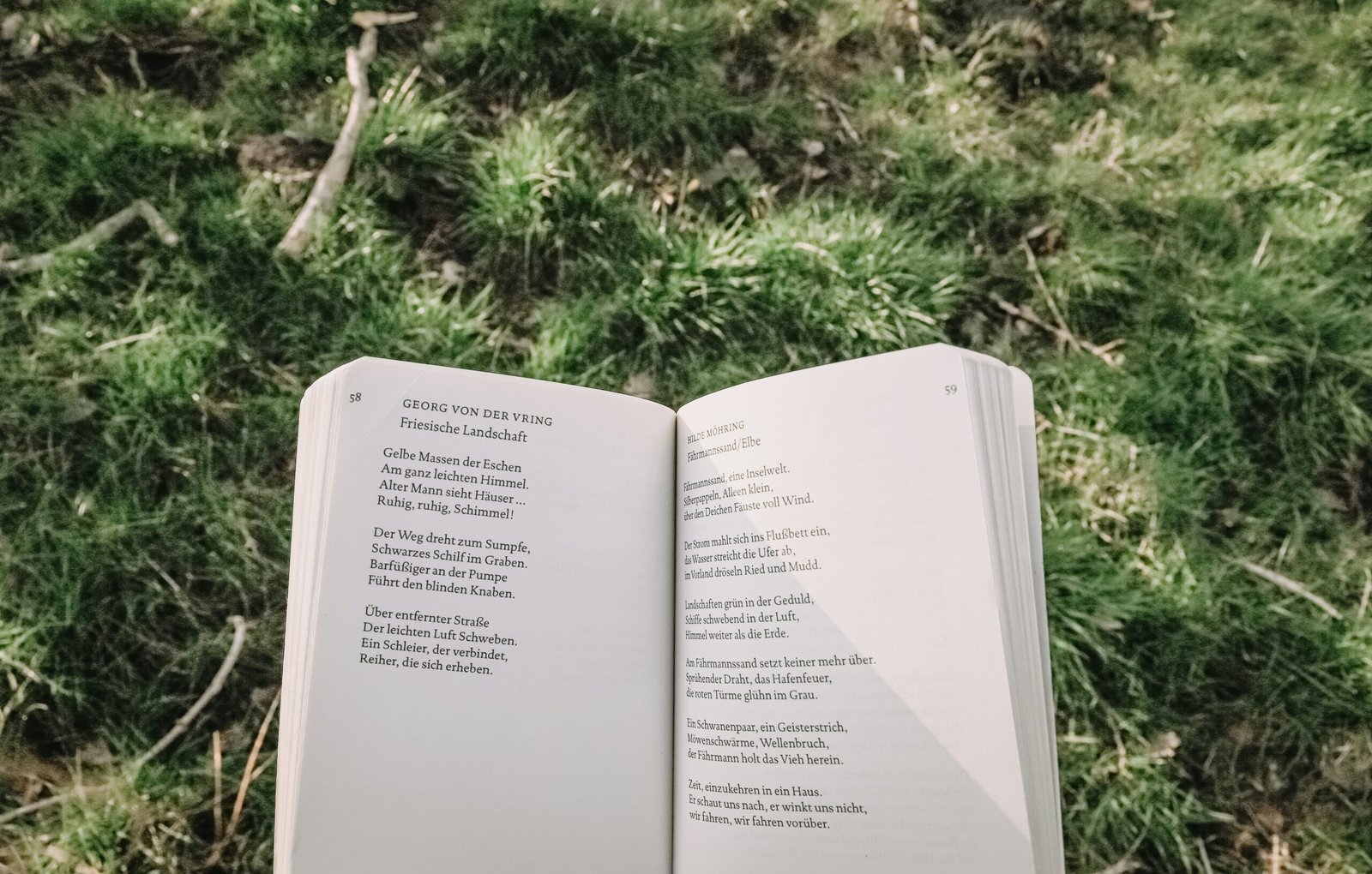 The Magic of Brevity: Celebrating the Art of Short Poems