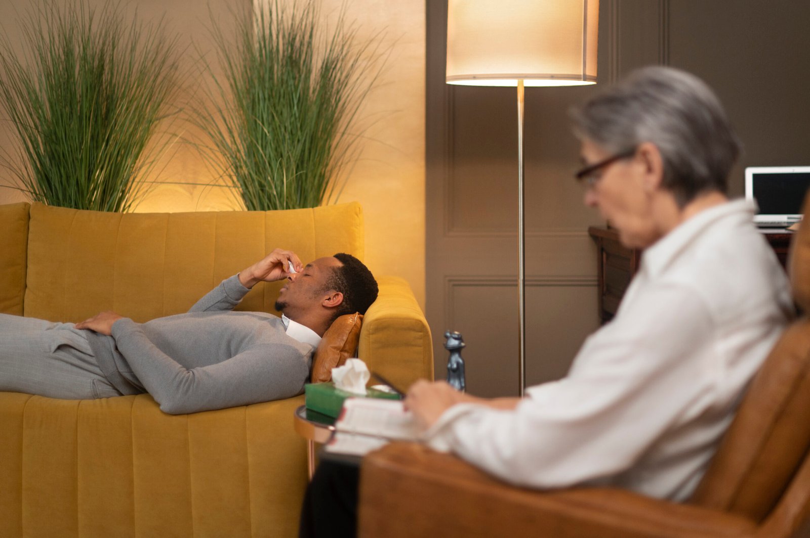 The Impact of Calming Spaces on Older Adults' Mental Health