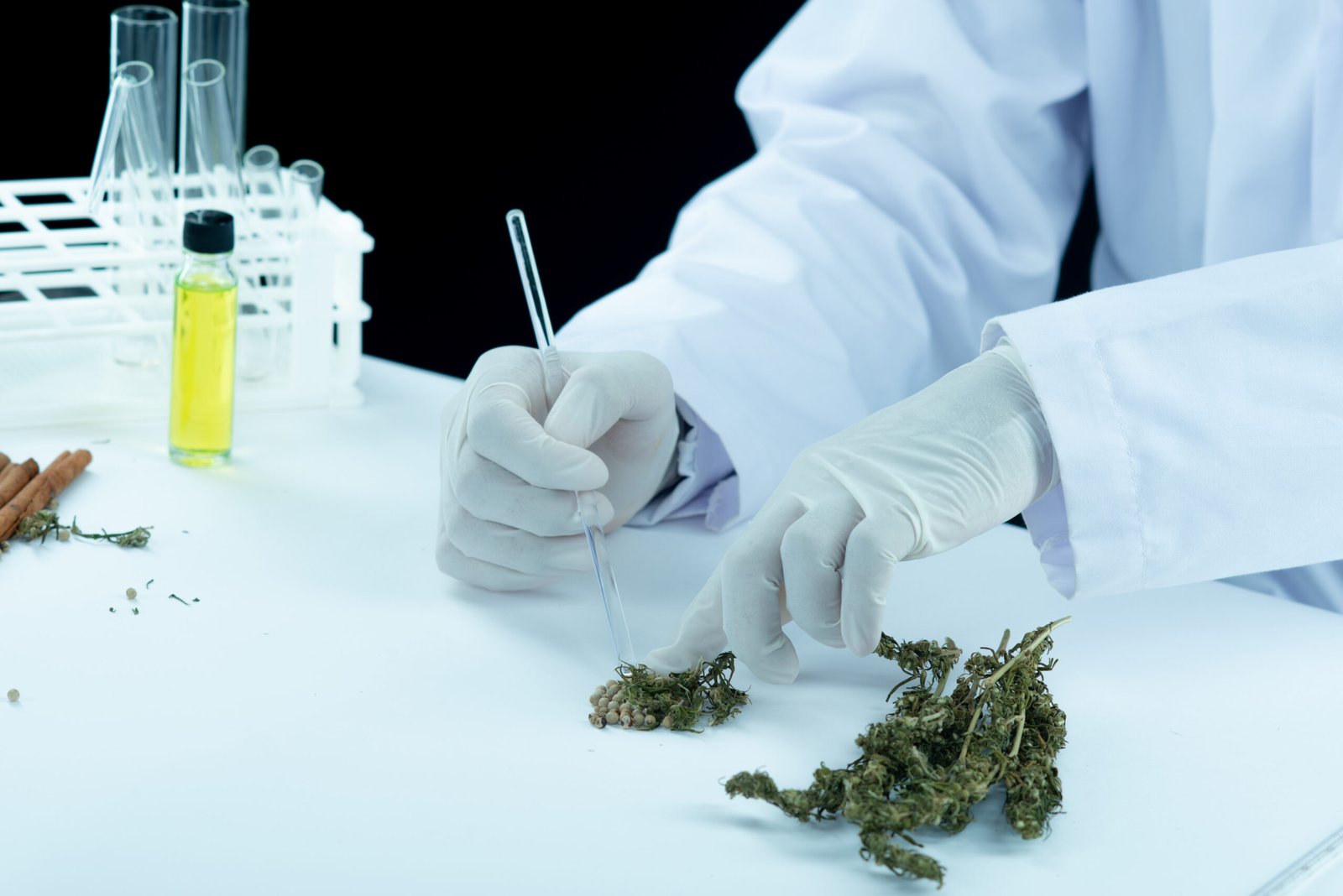 The Intersection of Technology and Cannabis Dispensaries